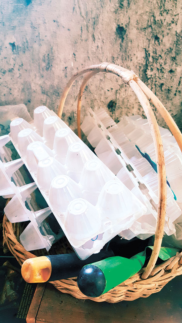 Egg trays